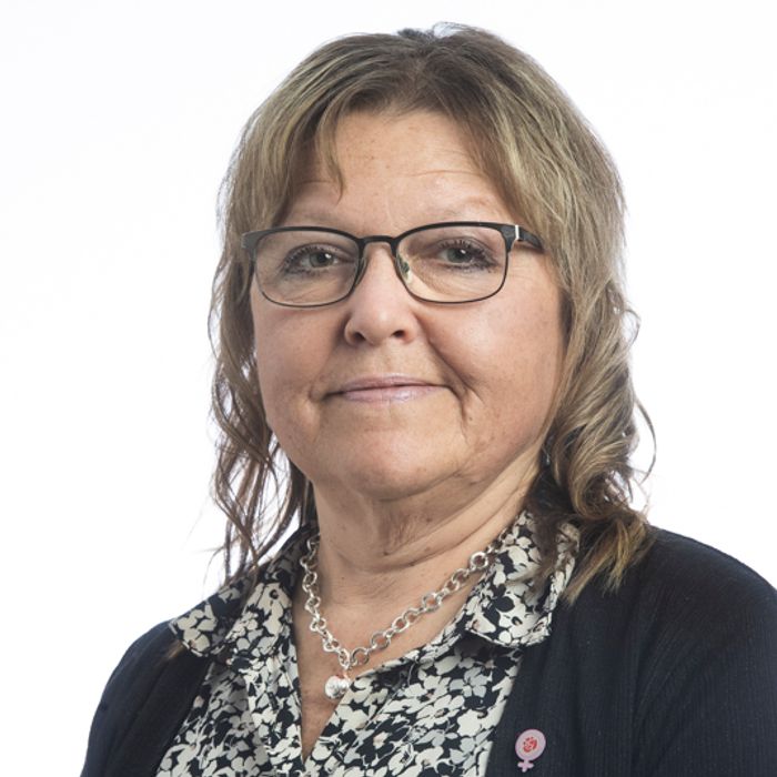 Bild på Anna-Carin Aaro