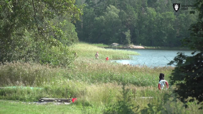 Ledare och barn som &auml;r p&aring; kollo ber&auml;ttar om s&auml;kerhet, bad, specialkost f&auml;stingar och mygg.