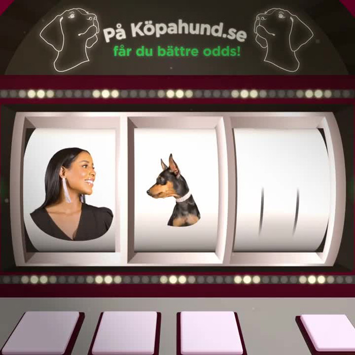 reklamfilm för köpahund